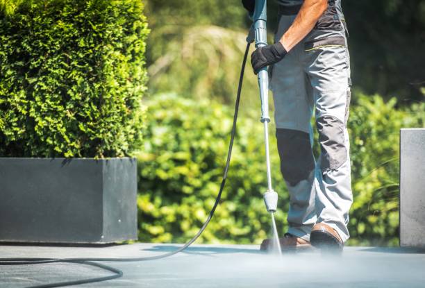 Pre-Holiday Cleaning in Windermere, FL